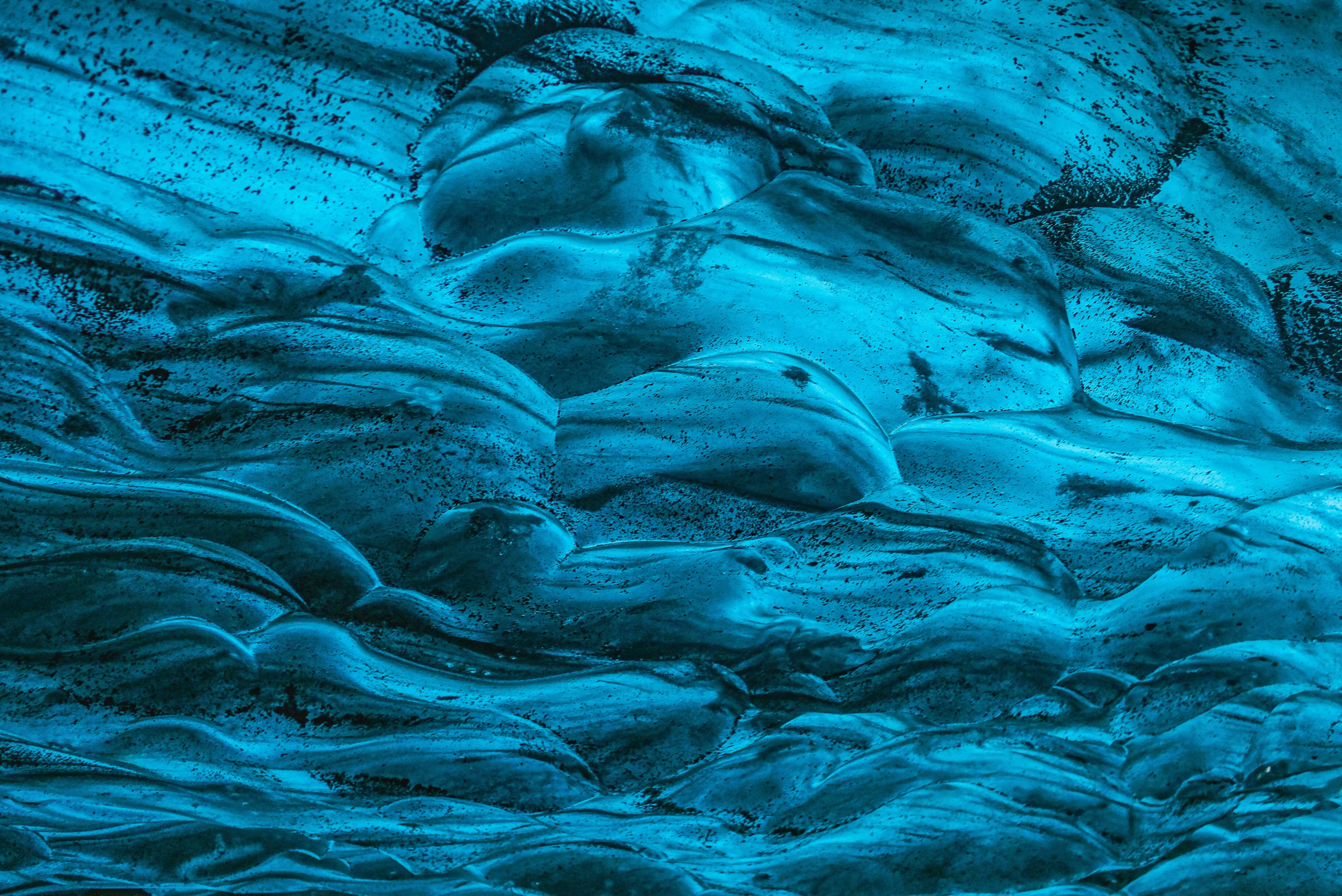 Expert trauma therapy provided by True North Therapy & Wellness in West Des Moines and virtually in Iowa