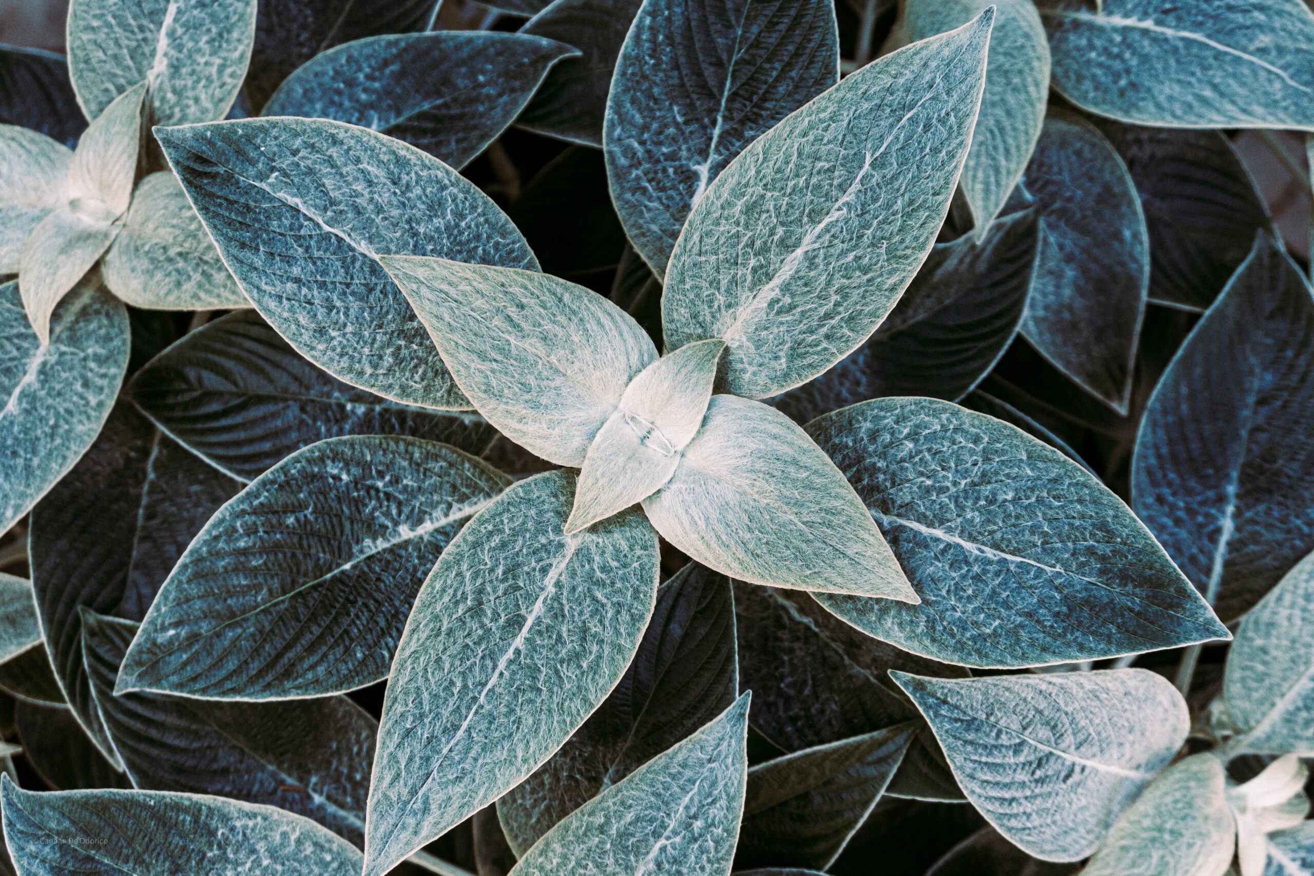 Expert trauma therapy provided by True North Therapy & Wellness in West Des Moines and virtually in Iowa