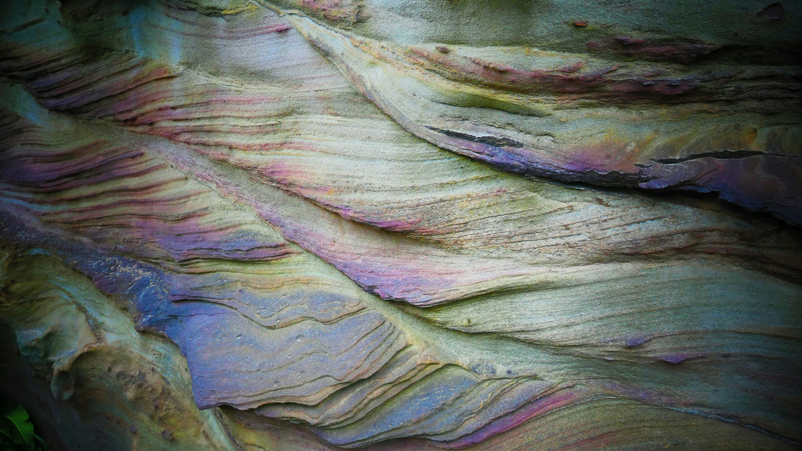 Expert trauma therapy provided by True North Therapy & Wellness in West Des Moines and virtually in Iowa