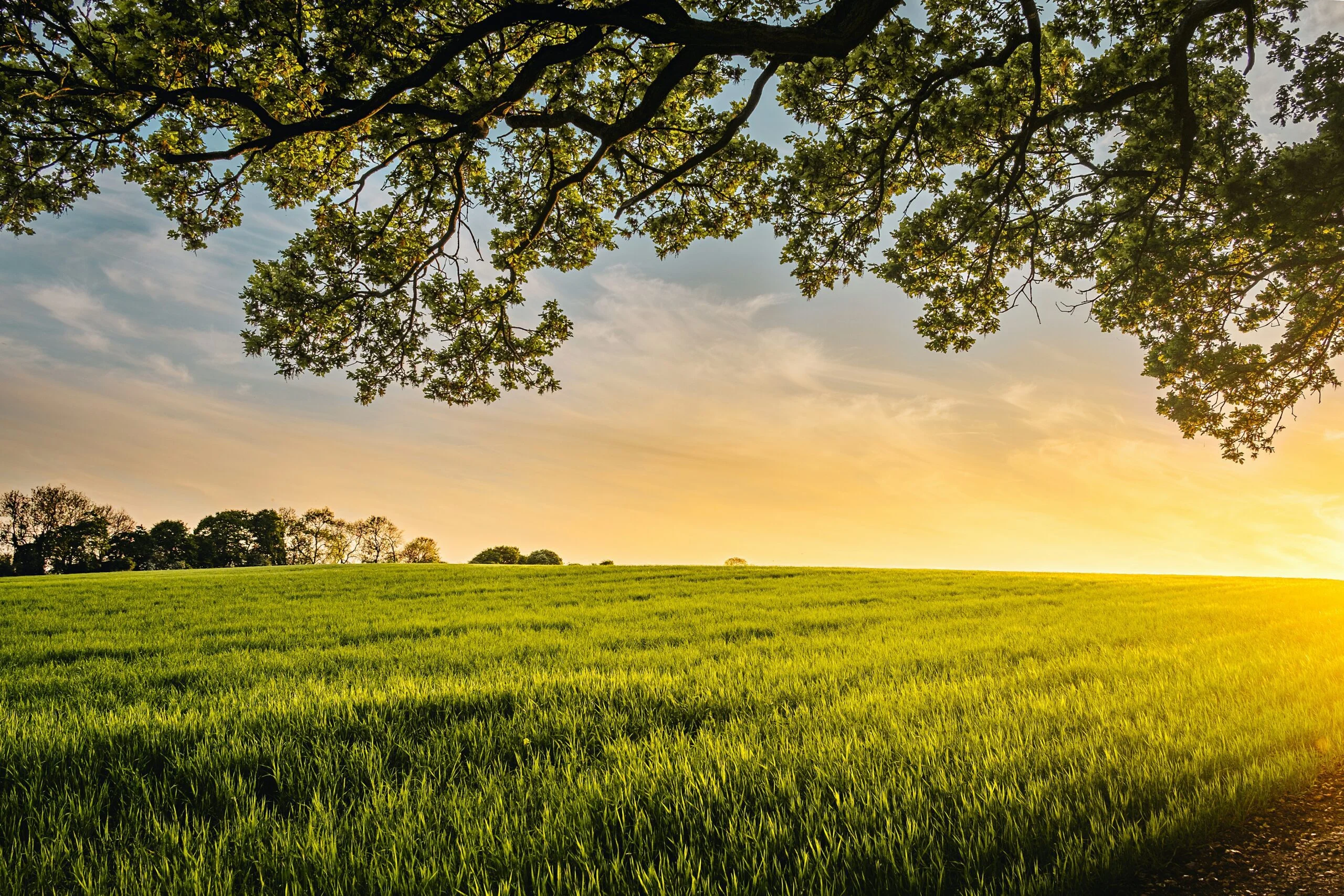 Welcome to the True North Blog: A Space for Real Talk and Real Healing
